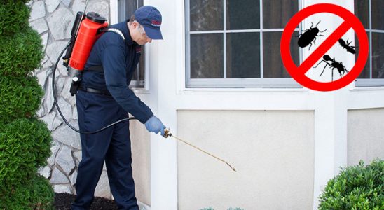 Atakum Akrep İlaçlama böcek ilaçlama ve haşere kontrolü — ilaclama-tr.com